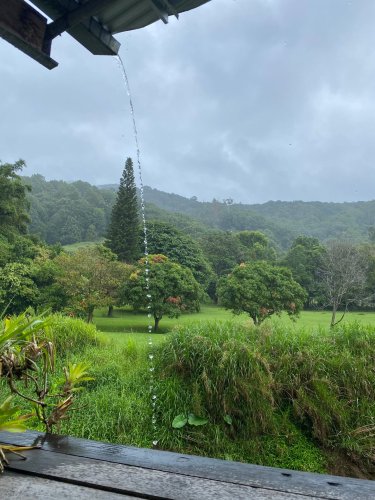 Photo post from currumbinvalleyharvest.