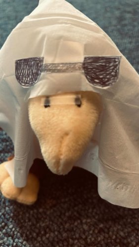 Video post from bc_ogsl.