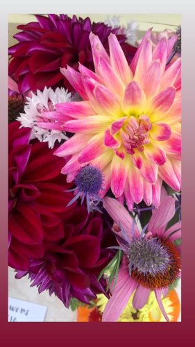 Video post from equianocoffee.