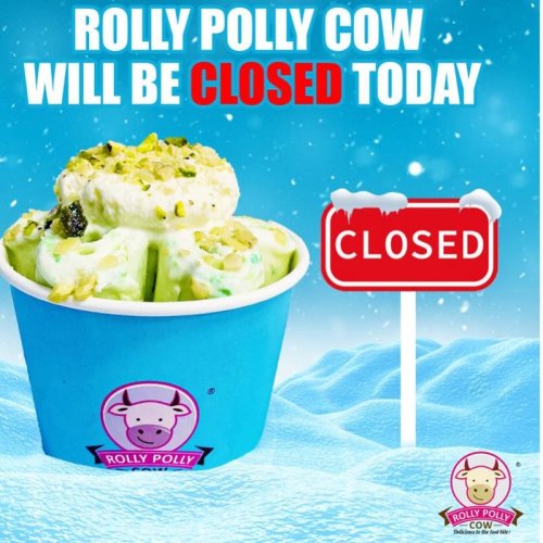 Photo post from rollypollycow.