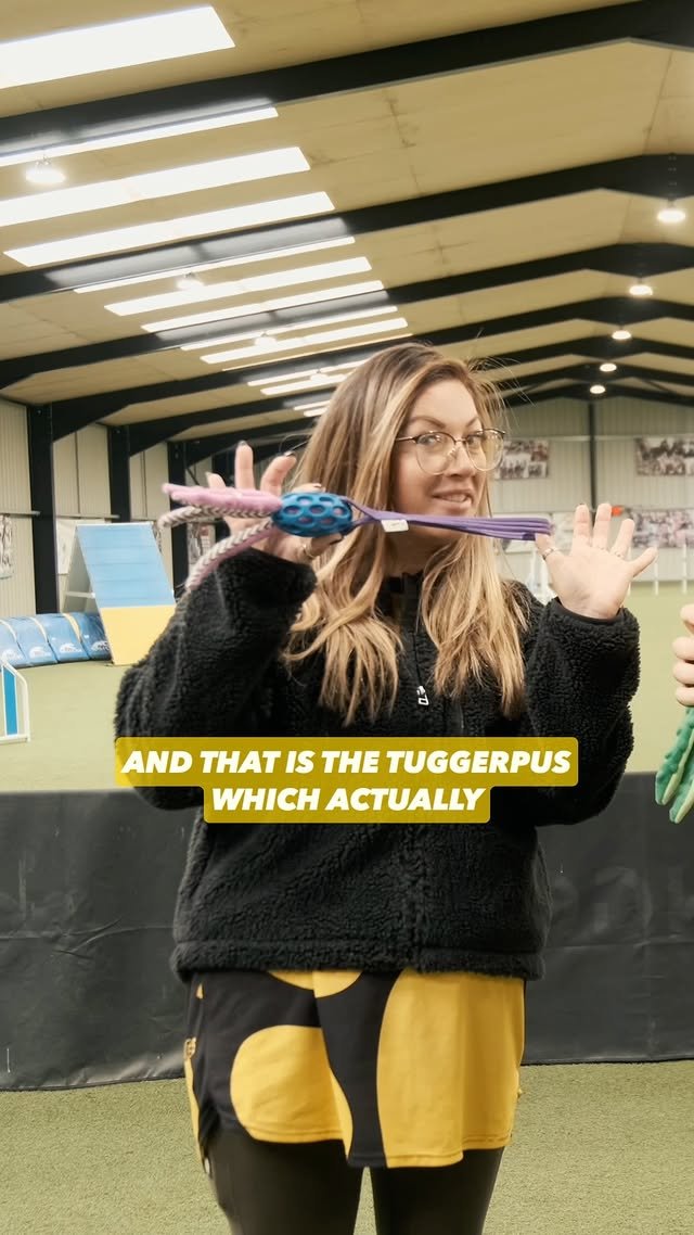 Video post from pawstrading.