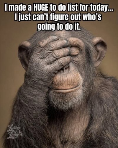 Photo post from withswatiprakash.