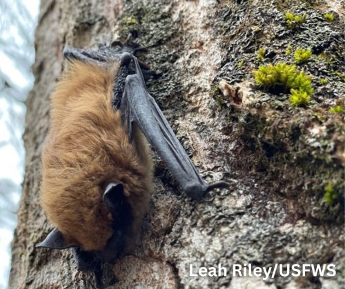 Photo post from cwc_mi.