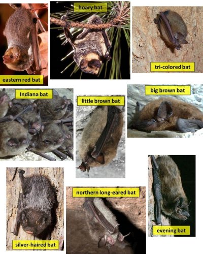 Carousel post from indianadnr.