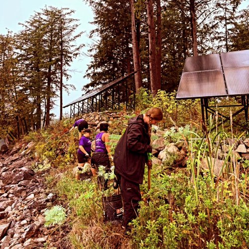 Carousel post from clearwingeco.