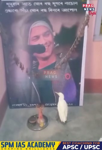 Video post from pragnewsofficial.