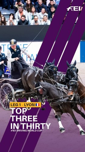 Video post from fei_global.