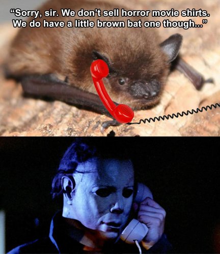 Photo post from libertygraphicstees.