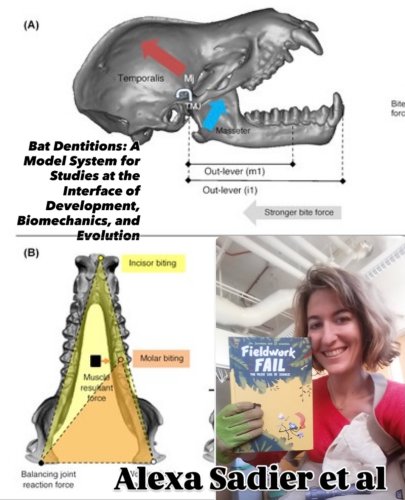 Photo post from icb_journal.