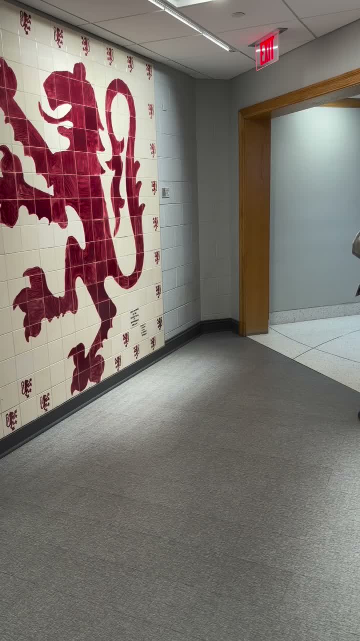 Video post from saeslions.