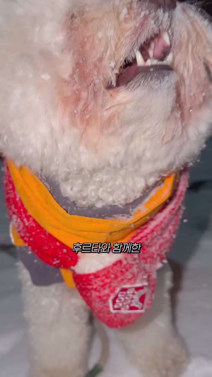 Video post from mybabytyrant.