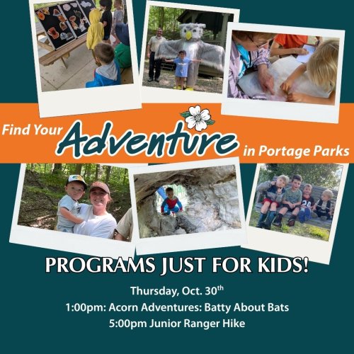 Photo post from portageparkdistrict.