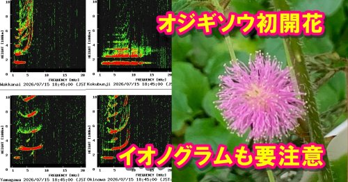 Photo post from nmomose.