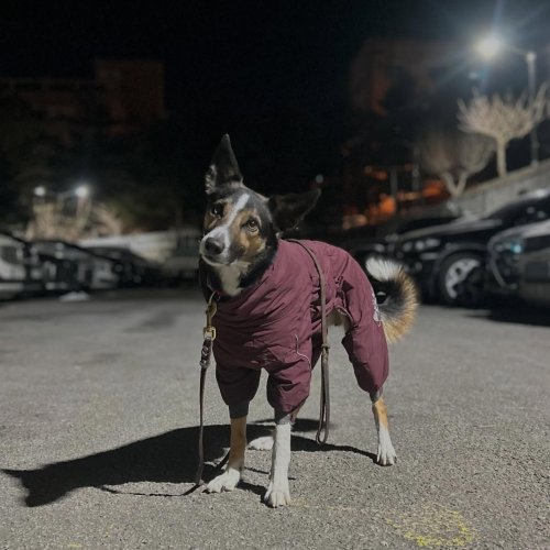 Carousel post from felix._.t.01.