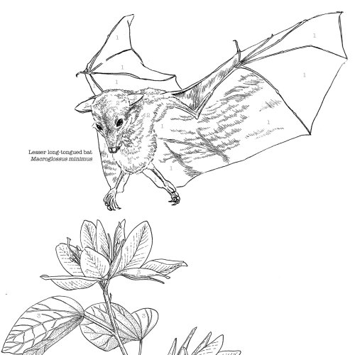 Photo post from aissa_domingo.