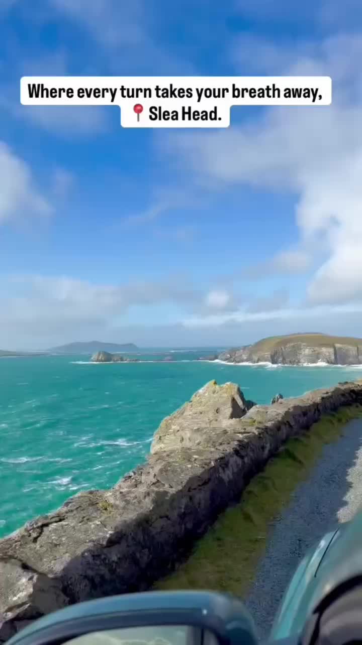 Video post from dinglepeninsulatourism.