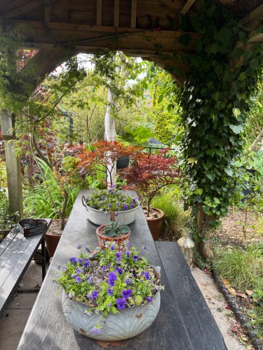 Photo post from gardenhousebrighton.