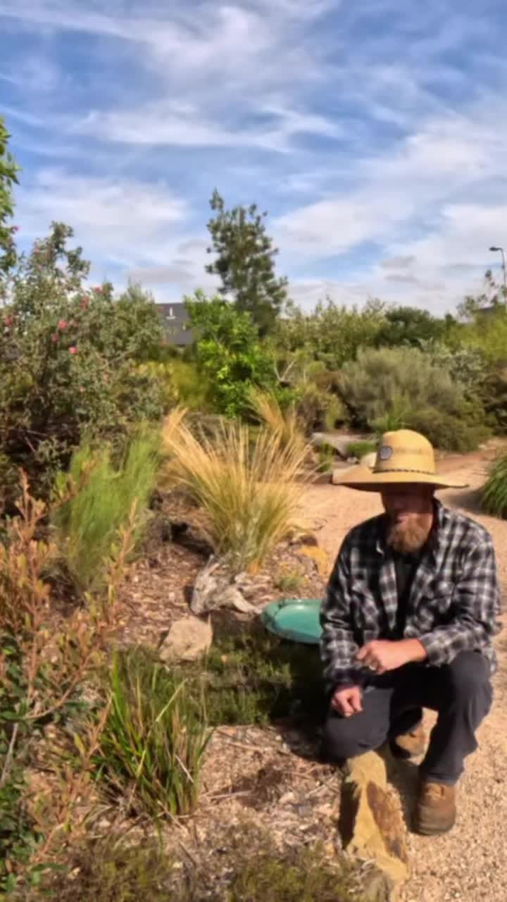 Video post from binchys_garden.