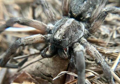 Carousel post from 0.peace_of_mind.0.