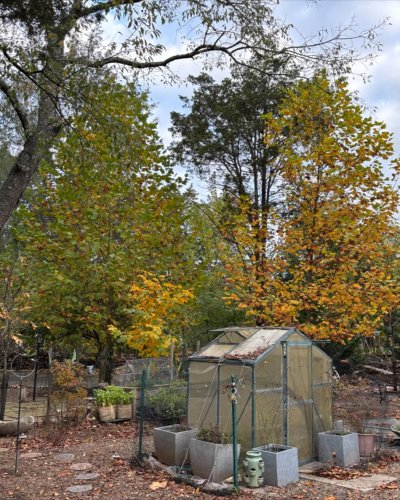 Photo post from mireade2025.