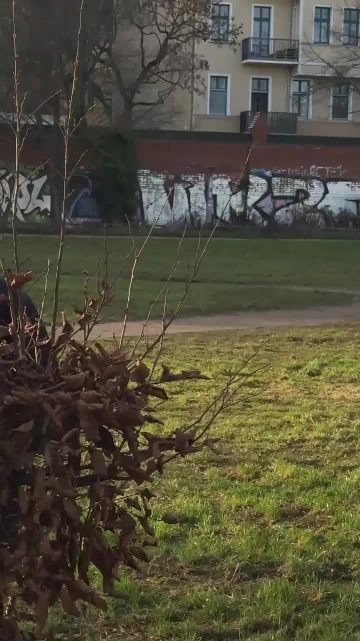 Video post from lovehoneyofficial.