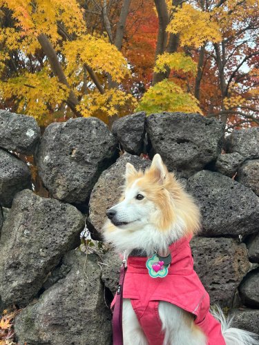 Carousel post from haeruphoria.