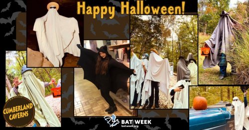 Photo post from cumberlandcaverns.