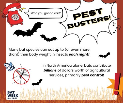 Photo post from merseytobeatic.