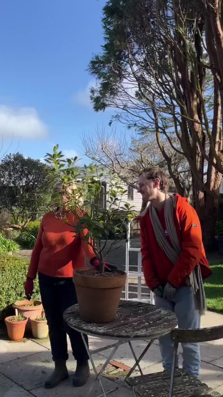 Video post from potager_garden.