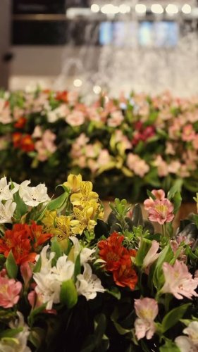 Video post from galeriaspacificoshopping.