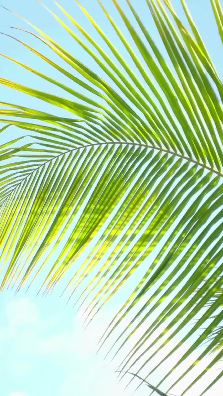 Video post from nokumaldives.