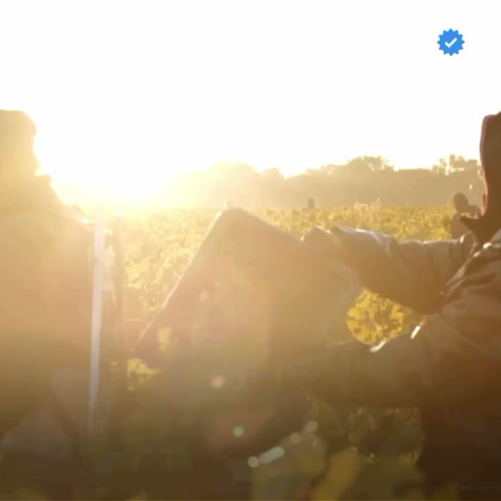 Video post from clubdvin.