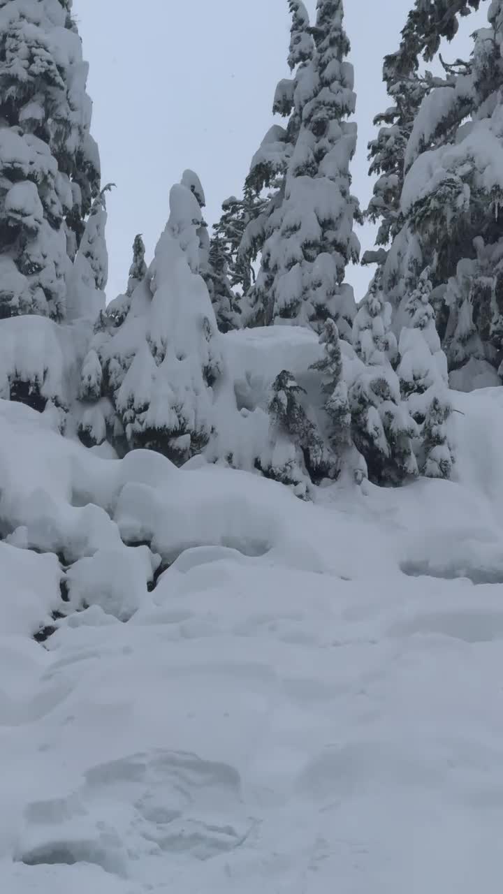 Video post from gnusnowboards.