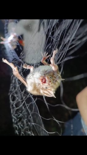 Video post from nestorror.mx.