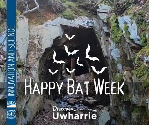 Photo post from discover_uwharrie.