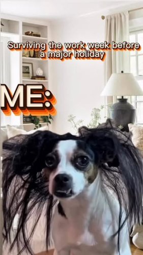 Video post from american_re_partners.