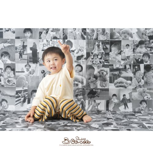 Photo post from studiococoatsukuba.