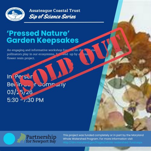 Photo post from actforbays.