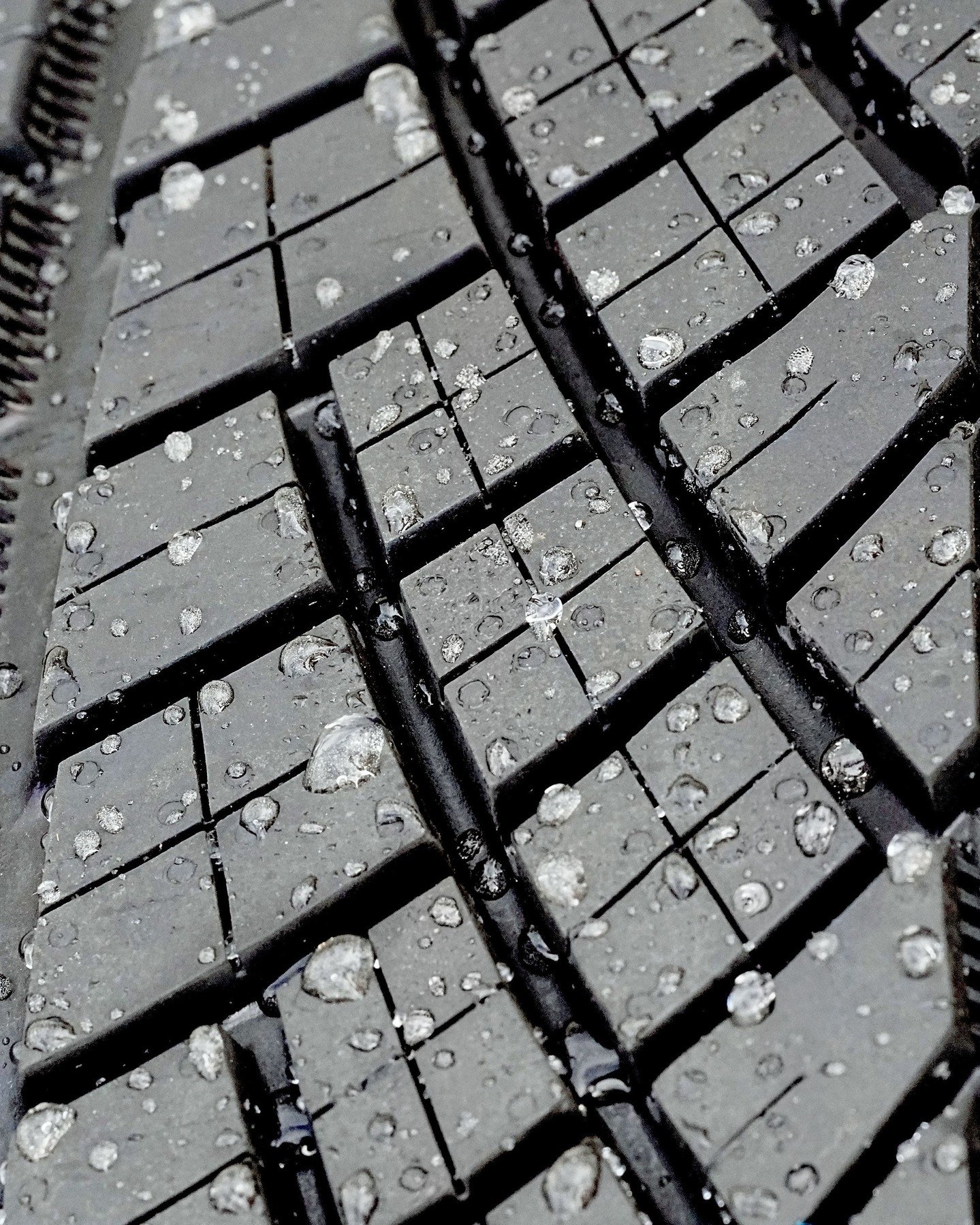 Continental ExtremeContact DWS-06 Plus | High Performance All Seasons