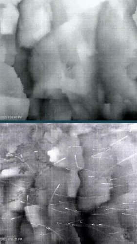 Video post from galandtrust.