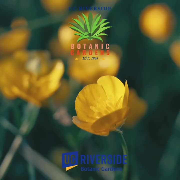 Video post from ucrbotanicgardens.