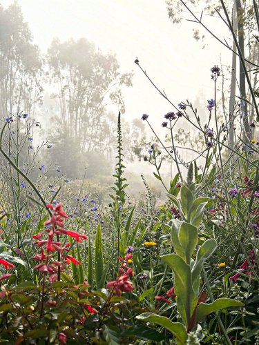 Photo post from margarida.sa.maia.