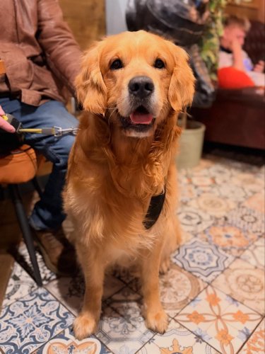 Carousel post from toast_flyford.