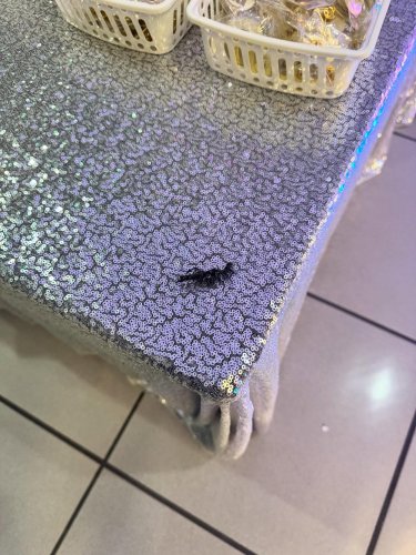 Carousel post from dance.teachers.united.