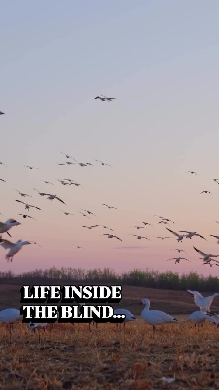 Video post from northernskiesoutfitters.