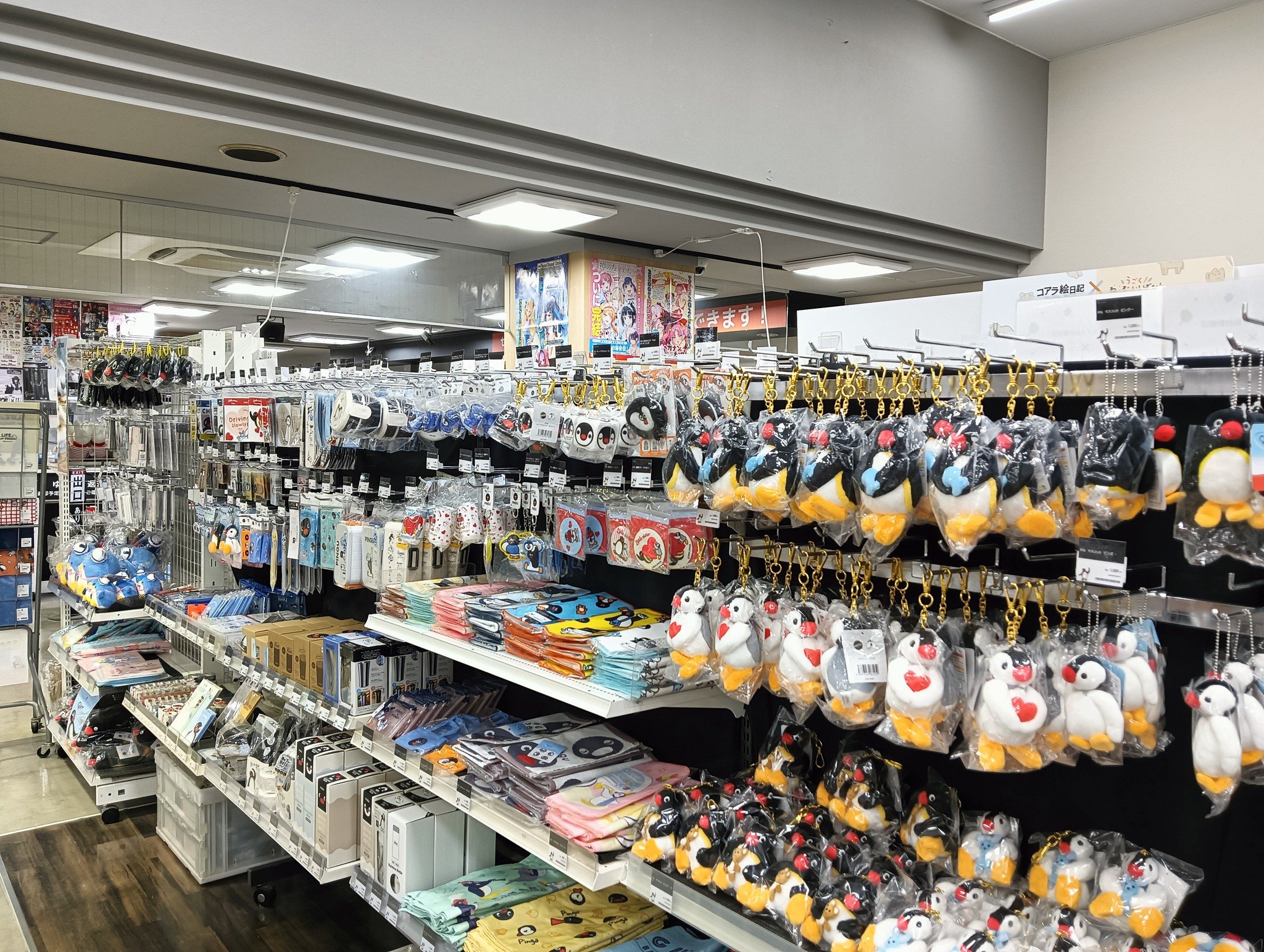 Carousel post from pingu_jp.