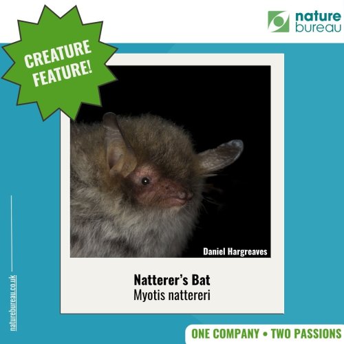 Photo post from naturebureau_ltd.