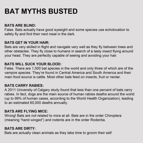 Photo post from shears.rick.