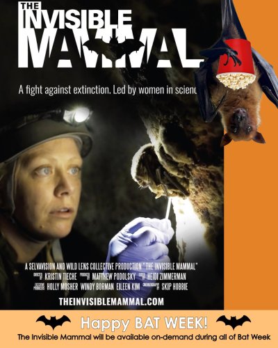 Photo post from lubeebatconservancy.