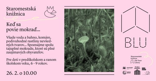 Photo post from kamzajtra.